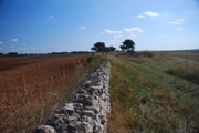 Clicca qui per vedere l'immagine in dettaglio